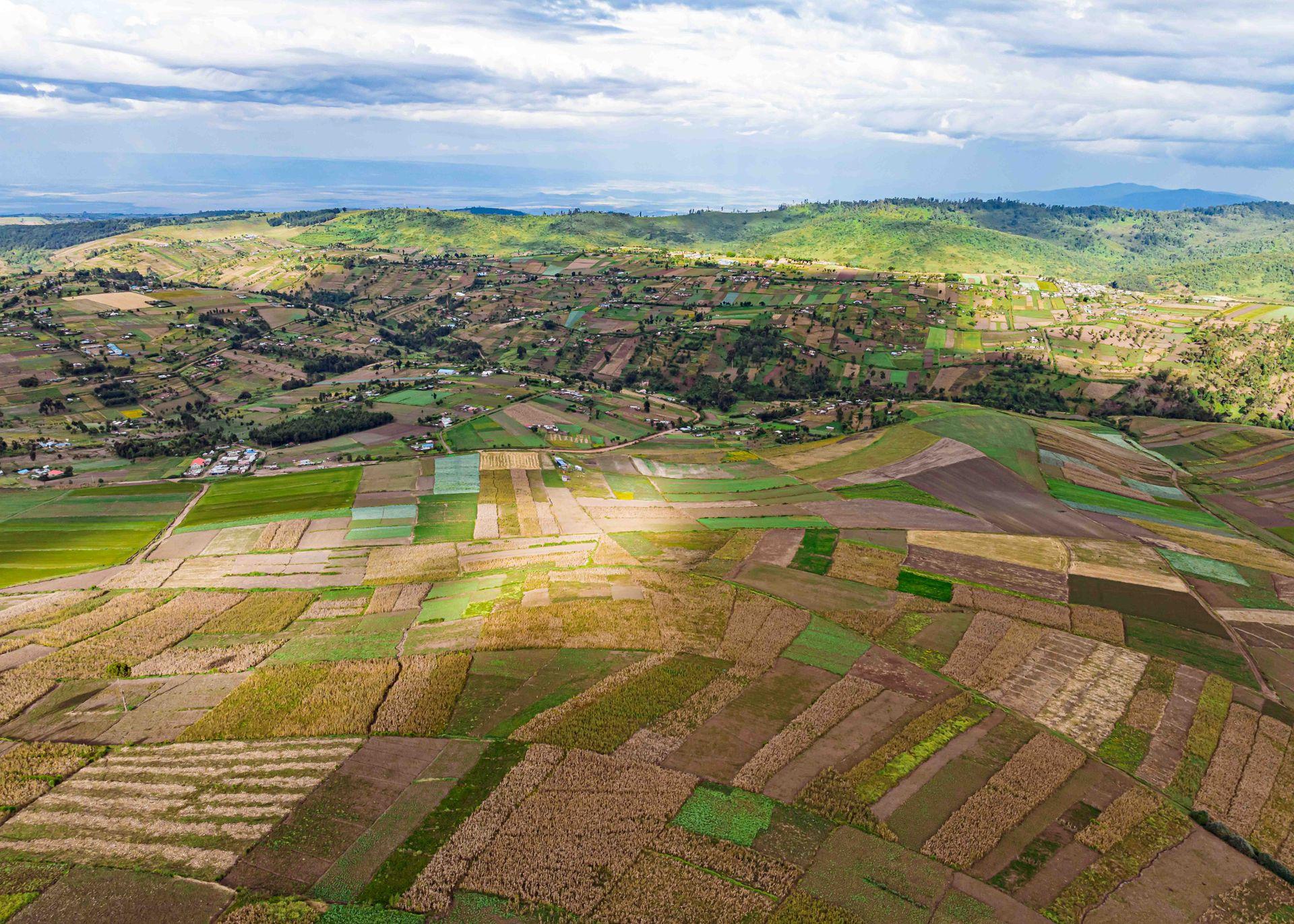 Aerial view of patchwork farmland in Mau Narok, Kenya