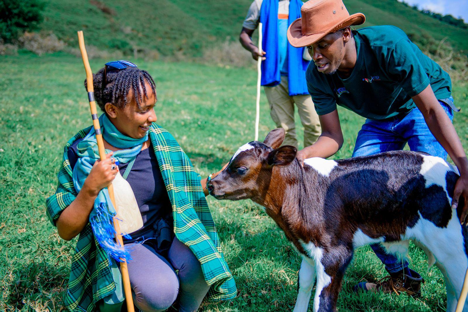 Farmers with a calf in a Kenyan pasture