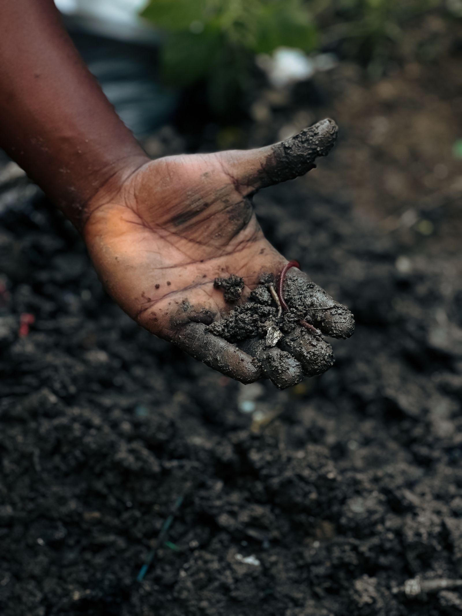 Hand holding composted soil